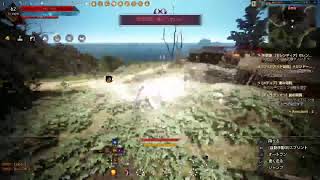 どんぐり頭転換したよ💪PS5 黒い砂漠