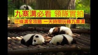 九寨溝新手必看 高原反應 最佳拍攝位置一一說給你聽 (國語) #九寨沟 #旅游攻略 #旅游 #四川旅遊 #四川 #成都 #中國旅遊 #中國旅行 #攻略