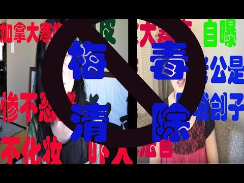 【Hui Yu揭露】普天同庆，寒梅视角账户被终止，梅毒婊子最终被油管清理