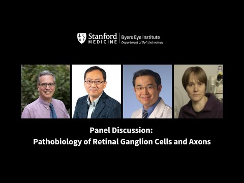 Panel Discussion: Pathobiology of Retinal Ganglion Cells and Axons