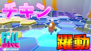 【FallGuys】#10 フォール イントゥー ザ スキマ
