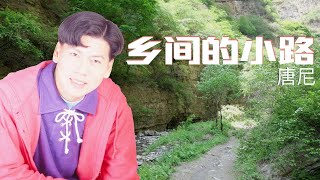 【老歌名曲精粹】唐尼 Donny Yap 《乡间的小路》Xiang Jian De Xiao Lu (HQ Remastering Lyrics Video)