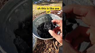Easiest way to crush #biochar 🪨 #garden #permaculture #tips