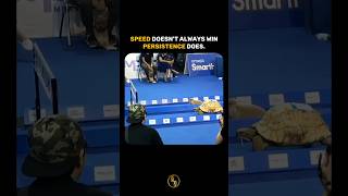 Why The Rabbit Lost the Race Again? #shorts #motivation #success