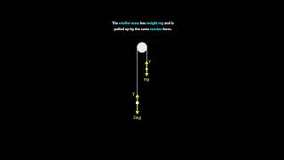 A-Level Mechanics: Pegs and Pulley Systems 🎓 #maths #mechanics #engineering #physics #mathanimation