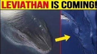 Leviathan:-समुद्र की सारी मछली बाहर क्यों आ रही है |leviathan का रहस्य।MONSTROUS Leviathan Discover?