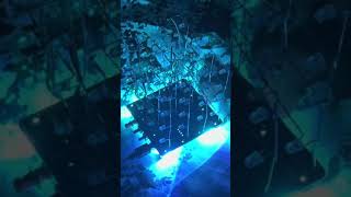 LED Cube Assembly!! #led #electronics #rgb #assembly #diy
