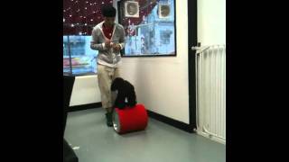 貴婦狗kudo花式訓練 倒立(Dog Trainer Ben)