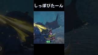 ナルガクルガの昇天突きポイント　#モンハンサンブレイク #ランス #shorts
