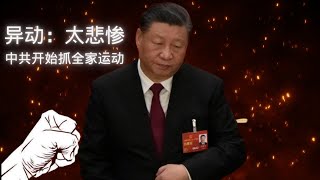 异动：太悲惨｜中共反腐抓全家成为新常态｜Too Tragic | CCP’s Anti-Corruption Targets Entire Families as the New Normal