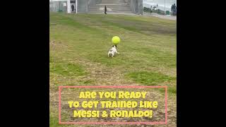 🐶 The Messi of Deep Learning AI! Join Now or Miss Out! 🚀