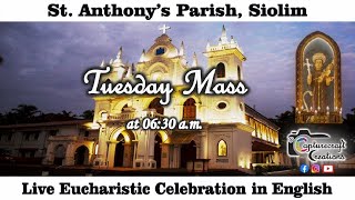 Tuesday English Mass Live at 6.30am, 15th July 2025 | St Anthony's Church Siolim