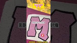 《鴨咪早戀》有些人靠近，是命運的玩笑，有些人留下，是心甘情願的守候。我哥為了防止我早戀，讓他身邊最帥最要好的兄弟管著我。完结文。#小説 #一口氣看完 #故事 #爽文