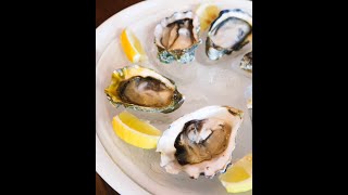 Fresh oysters at this cafe on Arab Street! #shorts