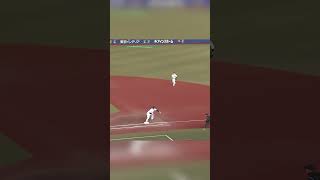 【レア度☆☆☆☆☆】ライトゴロ！#chibalotte