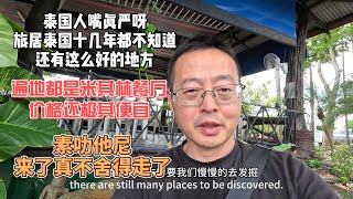 泰国人嘴真严呀 旅居泰国十几年都不知道还有这个好地方 |遍地米其林餐厅 价格还极其便宜 |素叻他尼 来了真舍不得走了