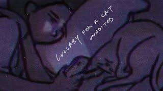EPIK HIGH (에픽하이) - LULLABY FOR A CAT (Unedited)