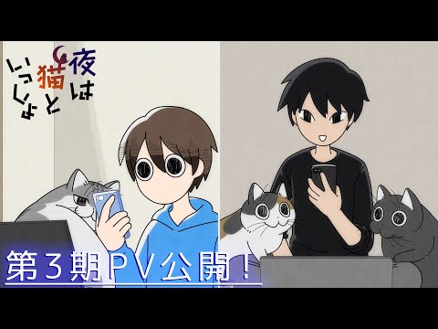 Anime 「At night with cats」 3rd stage commercial 【Distribution starts at 20:00 on December 4th!】