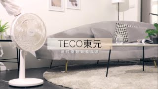 TECO東元家電 遙控擺頭DC節能風扇 - XA1479BRD
