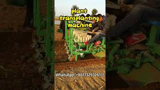 Boost Your Crop Yield with an Automatic Transplanting Machine #crop #plants #transplanter