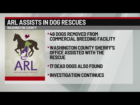 49 living, 17 dead dogs removed from Washington County breeding facility