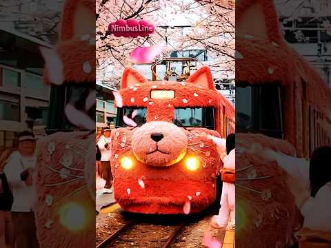 Sakura Cat Themed Train 🎀 Would you like to ride? #train #sakura #cute #funny #cat #pinkvibes