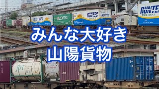 2021.5.25 みんな大好き5053レ ランテック多数、海コン積載