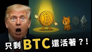 幣圈完了？除了比特幣，全都掛了？！