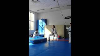 Backflip Kick