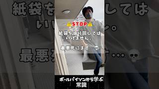 ボールパイソンから学ぶ常識 #shorts #snake #ボールパイソン #爬虫類 #常識meme