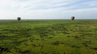 Ndutu from the basket of a Serengeti Balloon Safaris balloon