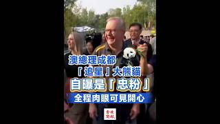 【澳總理成都「追星」大熊貓 自曝是「忠粉」 全程肉眼可見開心】