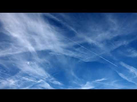 Stephen Gilbert Live Stream