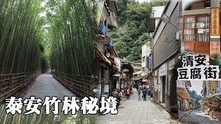苗栗泰安~清安豆腐街、泰安竹林秘境 (烏嗄彥竹林)