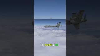 The Reaper Precision in Modern Warfare 🪖