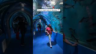 India’s Largest Underwater Fish Tunnel Expo happening in Borivali