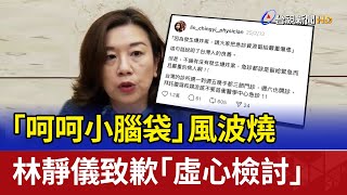 「呵呵小腦袋」風波燒 林靜儀致歉「虛心檢討」