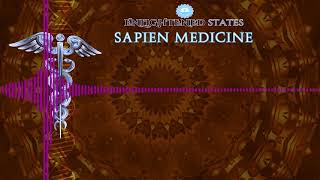 Uplift Yourself, People you meet and the world by Sapien Medicine ver2.0