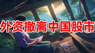 外资撤离中国股市 北向资金数据变为季度公布 #外资 #中国股市 #北向资金 #资金流入 #经济放缓 #房地产 #沪深300指数 #投资风险