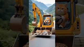 ai funny video story cats #aifunny #funnyvideo #funny #funnystory #funnycomedy