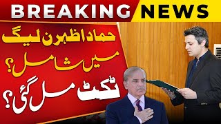 Hammad Azhar Contest Elections on PML-N Ticket? | Truth Behind Leaving PTI Revealed!