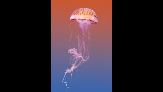 Photoshop 2023: How To Remove a Background In Photoshop [For Beginners!]