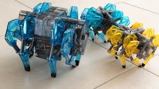 HEXBUG Strandbeast XL Huge Robotic Spider