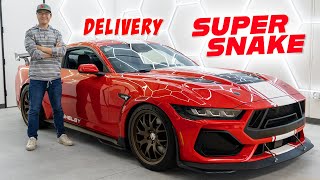 TAKING DELIVERY OF A $160,000 SHELBY SUPER SNAKE... SHELBY'S CRAZIEST SNAKE!