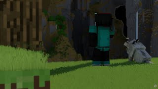 My pvp skil is enough ? Awaken smp Application video