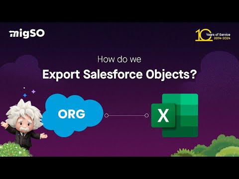 How to Export Salesforce Objects using migSO | Tutorial