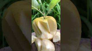 🍎 #viral #fyp #viralvideo #top #1millionviews #shorts