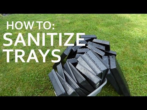 How to wash and sanitize microgreens trays