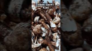 Goan Almi (Local mushroom) #goanfood #harvesting #goanlife#harvest #mushroom