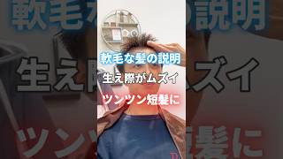 ツンツンスパイキーショート面長専用？#スパイキーショート#短髪#メンズショート#アップバング #メンズパーマ #短髪パーマ#センターパート#メンズ髪型 #メンズヘア